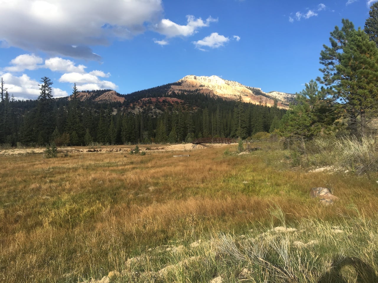 Pine Lake