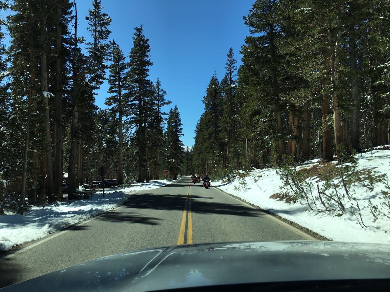 Richtung Tioga Pass